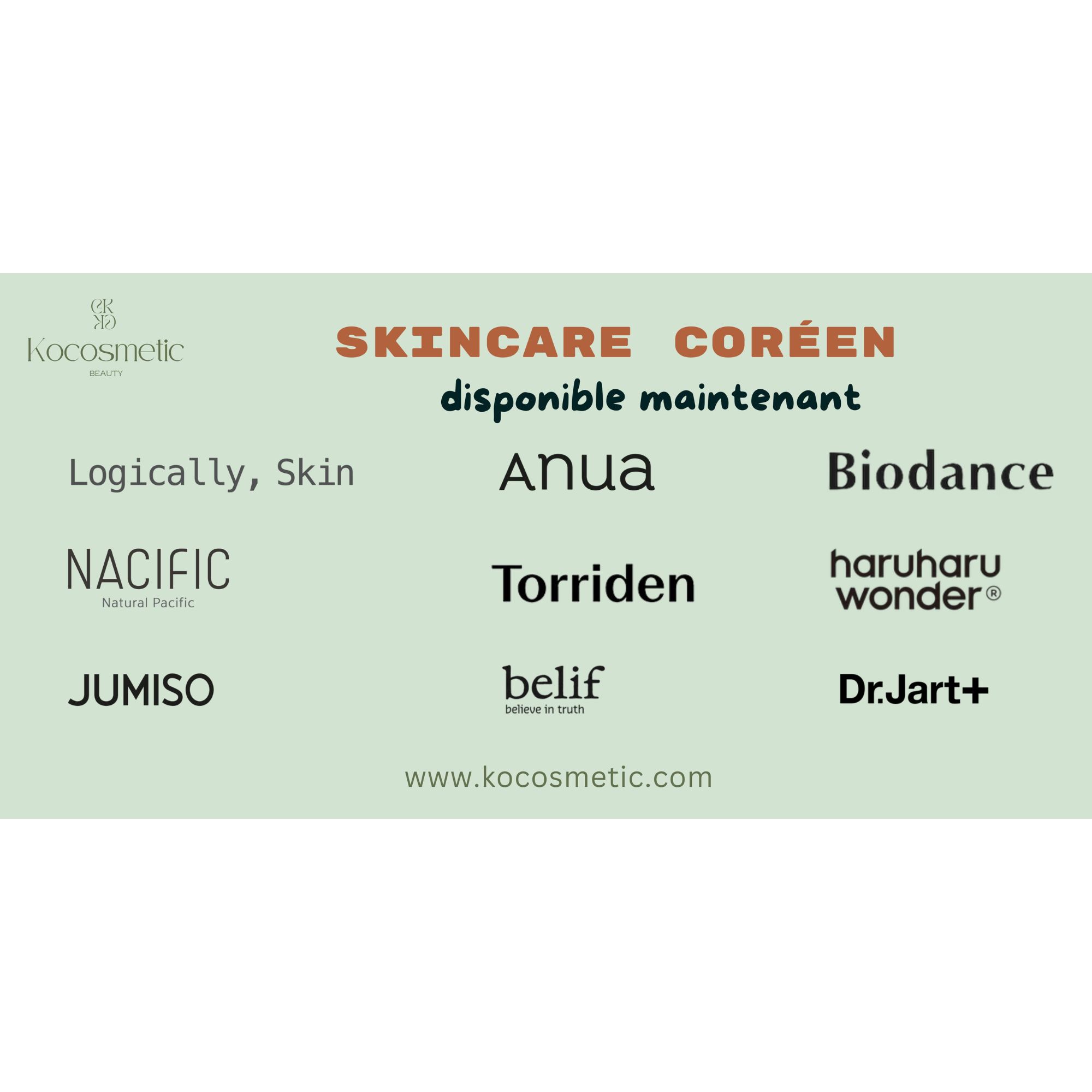 Modèle 2 Poster Paysage à coller sur une vitrine 100cm x 50cm ( longueur x hauteur )